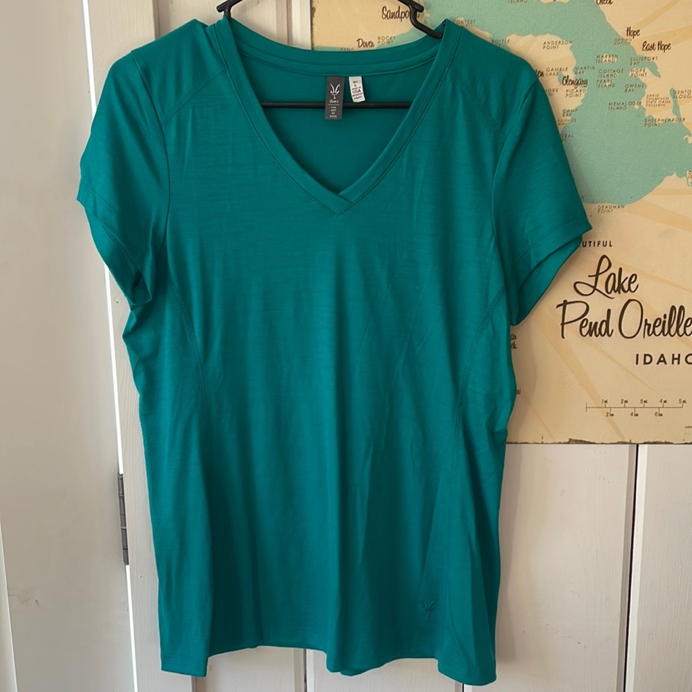 Ibex V Neck T Shirt - teal